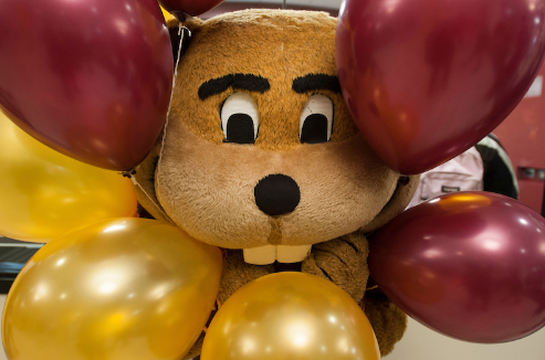 Goldy peaking through balloons