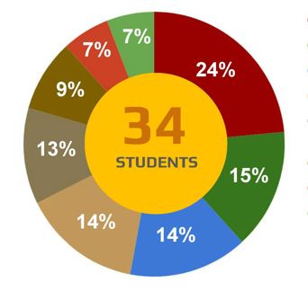 Pie chart of Master of Marketing undergraduate majors