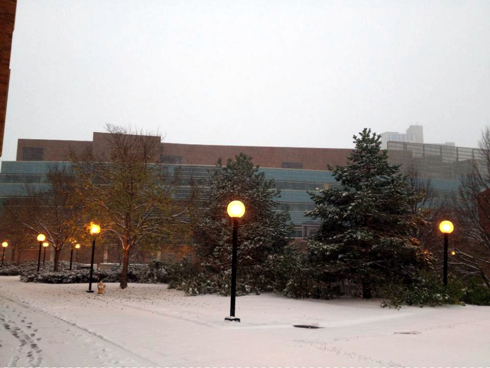 The Carlson School in the Winter