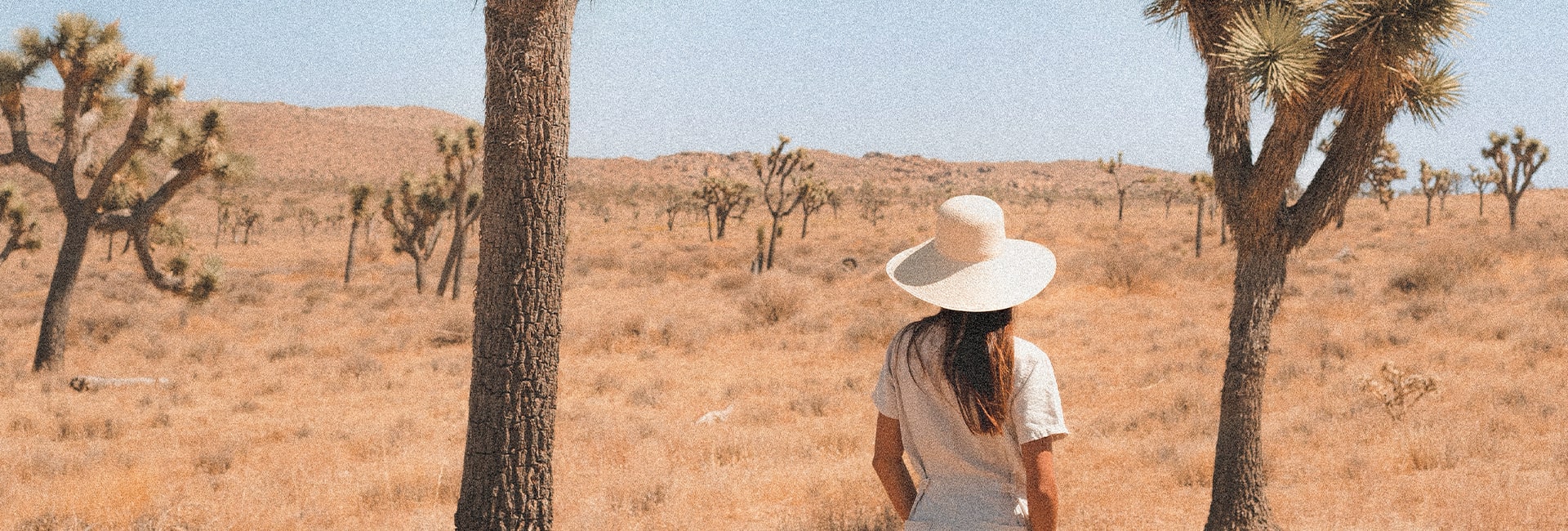 Young woman in a white hat overlooking the landscape in Joshua Tree.