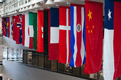 Flags hanging in the Carlson School