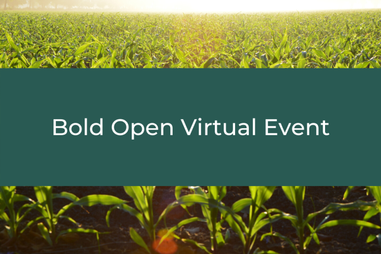 Bold Open Virtual Event