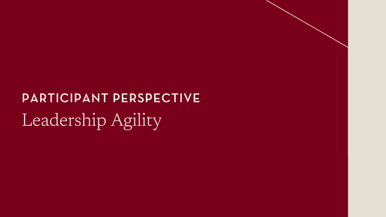Leadership Agility Participant Perspective