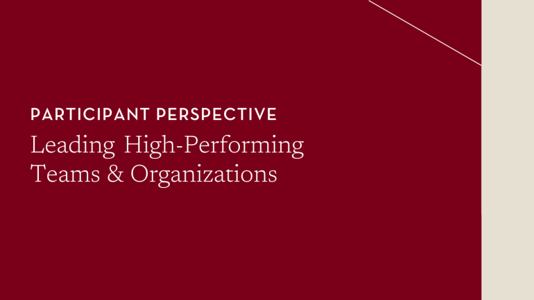 Leading High-Performing Teams & Organizations