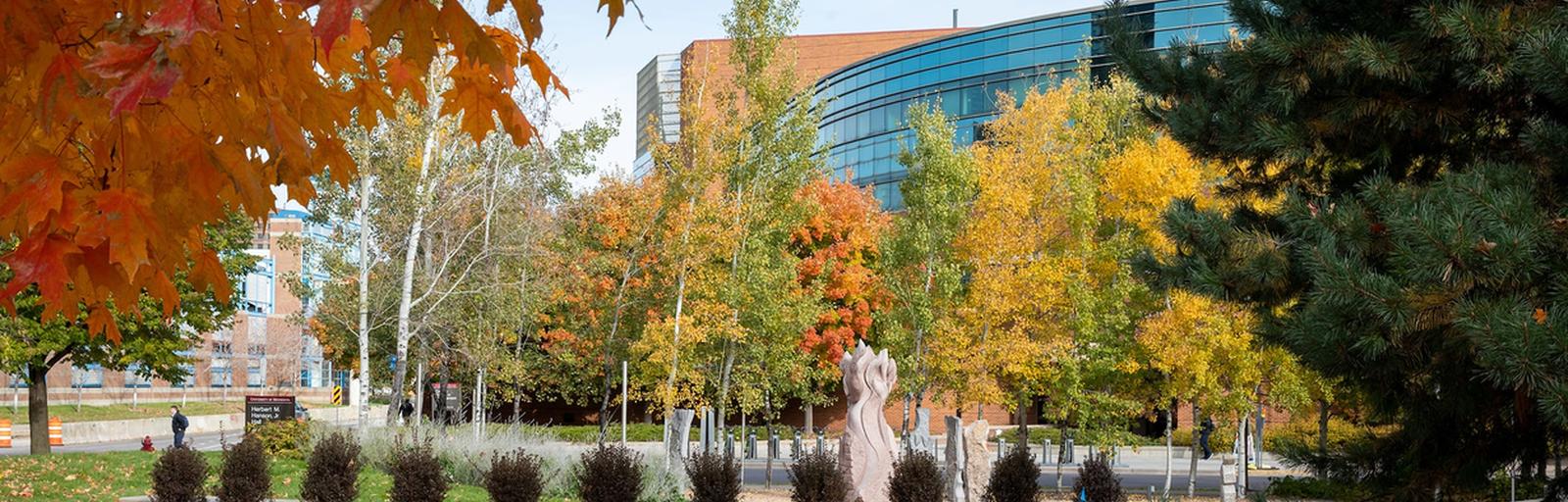 Image of the Carlson School of Management building through tress full of colorful fall leaves.