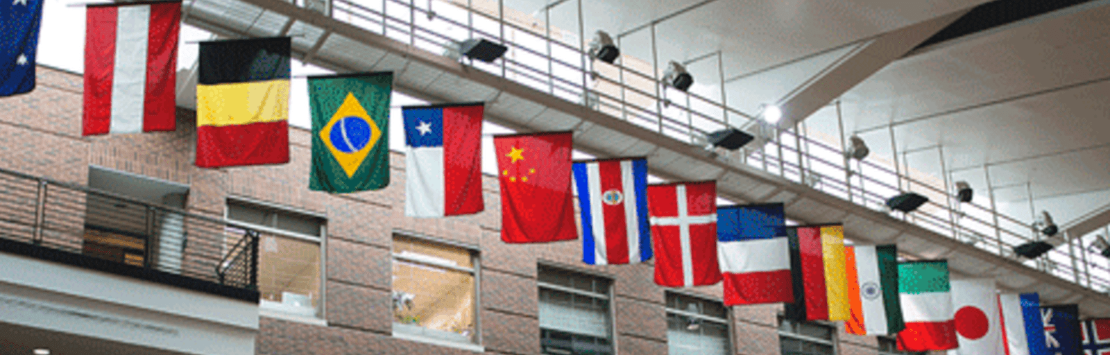 Flags in the Carlson School