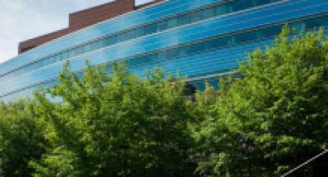 The glass window exterior of the Carlson School during the summer.