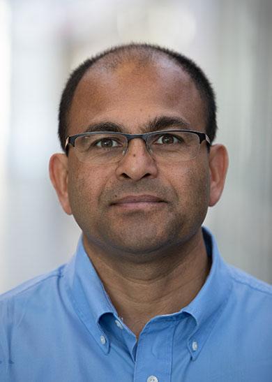 Professor Gautam Ray