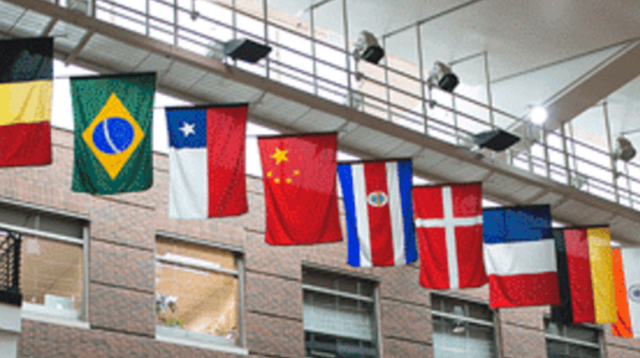 Flags in the Carlson School