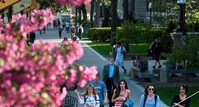 blossoming tree with tiny flowers and students and faculty walking down paved walkway