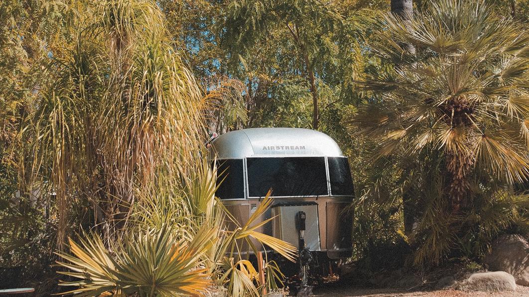An airstream camper nestled in bushes and palm trees.
