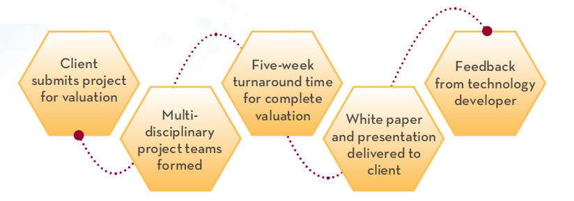 Valuation Lab Process: 1) Client submits project for valuation; 2) Multi-disciplinary project teams formed; 3) Five-week turnaround time for complete valuation; 4) White paper and presentation delivered to client; 5) Feedback technology developer
