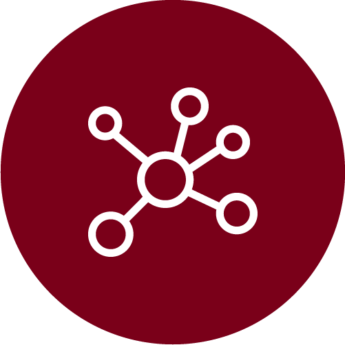 connected web diagram icon
